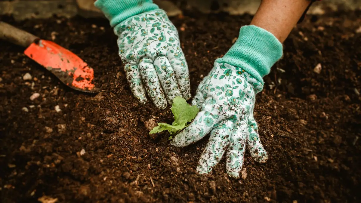 Sample planting photograph, shown as a placeholder for this business's own work